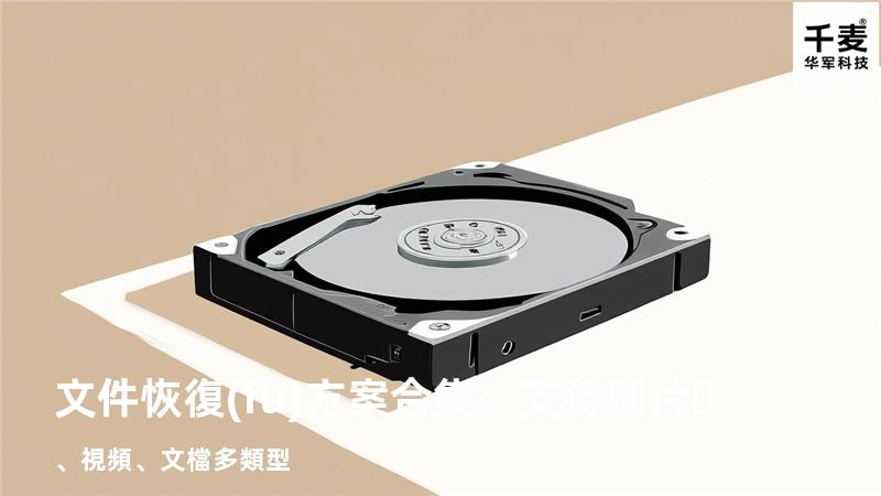 文件恢復(fù)方案合集：支持圖片、視頻、文檔多類型 